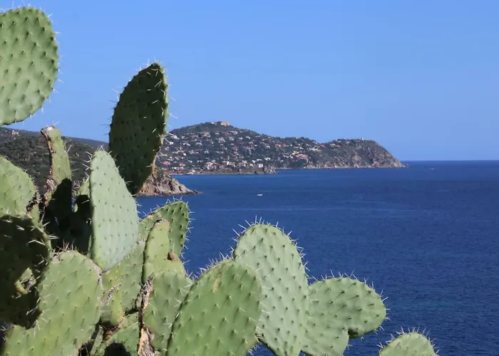 Aura Club Torre delle Stelle